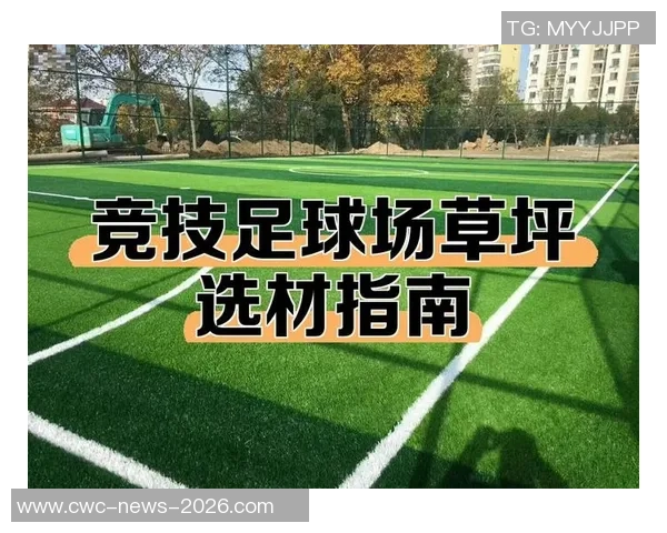 足球场照明灯具选择指南及其对比赛效果的影响分析